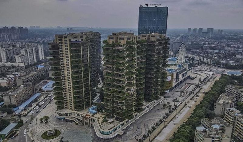 china grew forest in housing project in new experiment fails after mosquitos spread plagues diseases kph