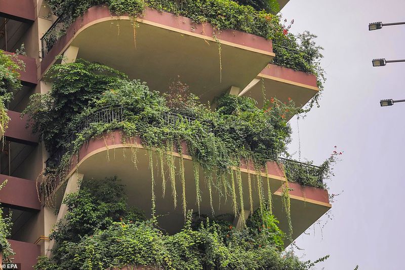 green housing project in a China and its problems