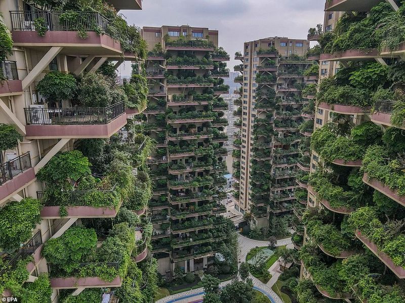 green housing project in a China and its problems