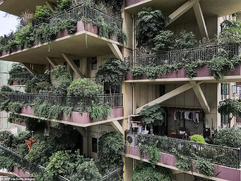 green housing project in a China and its problems