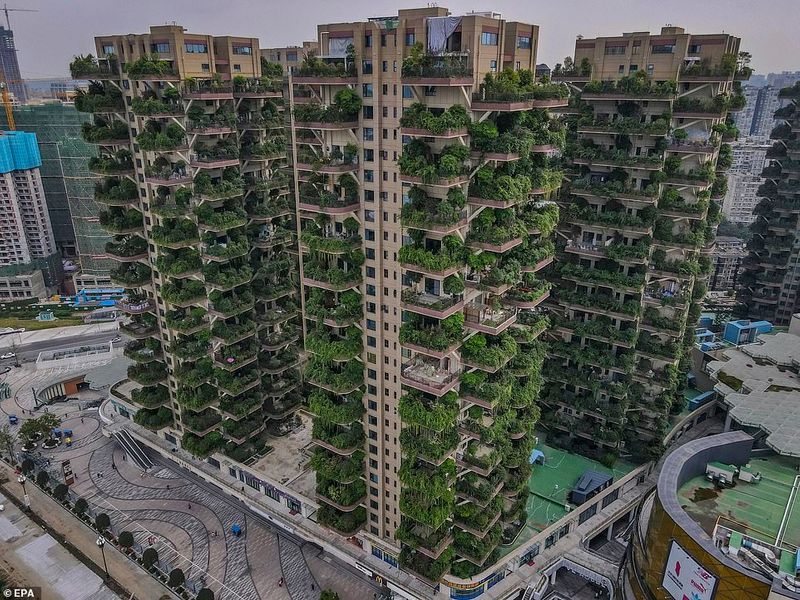 green housing project in a China and its problems