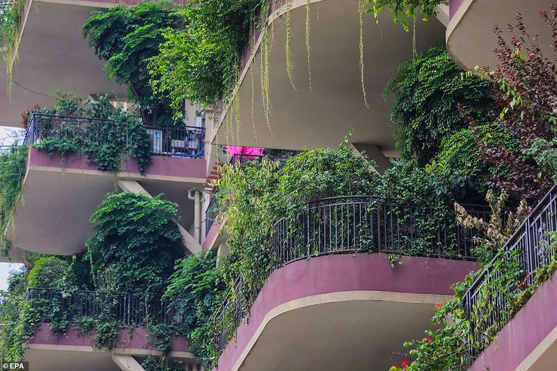 green housing project in a China and its problems