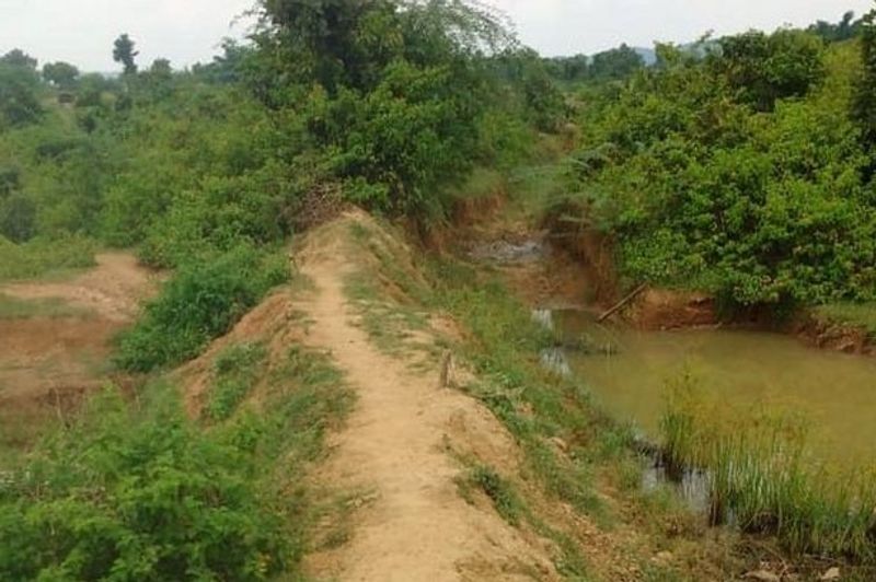 सालों परिश्रम के बाद उन्होंने पहाड़ के पानी को गांव के तालाब तक पहुंचा दिया। अकेले फावड़ा चलाकर तीन किलोमीटर लंबी, पांच फीट चौड़ी और तीन फीट गहरी नहर बना दी। इसी साल अगस्त में लौंगी भुइंया का यह काम पूरा हुआ है और बरसात में उनकी मेहनत का असर दिख रहा है। (फाइल फोटो)