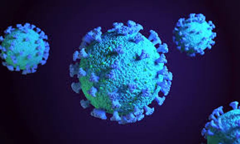 SARS CoV 2 Photo published by scientists photo story