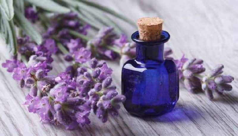 benefits of using lavender oil