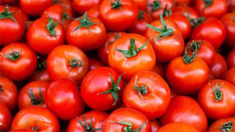 Foods To Include In Your Diet For A Healthy Skin