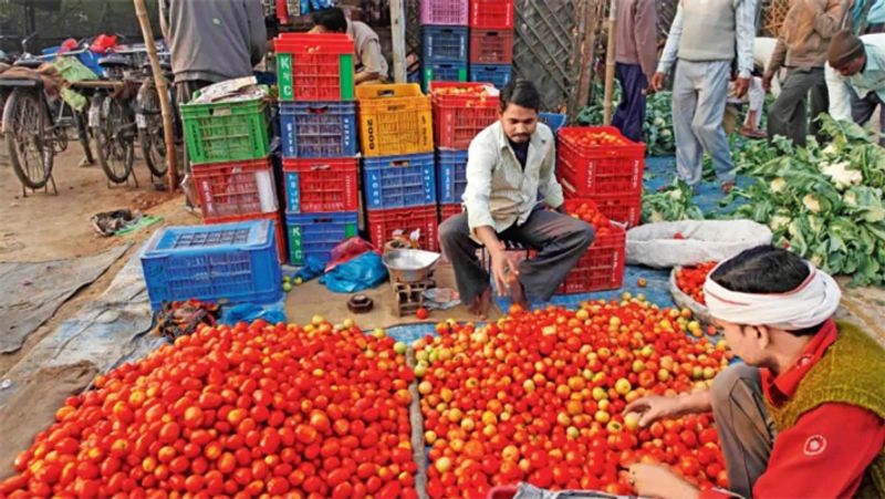 Tomato Price Hike: Tomato hit by inflation, price reached Rs 160 per kg, know why prices are skyrocketing