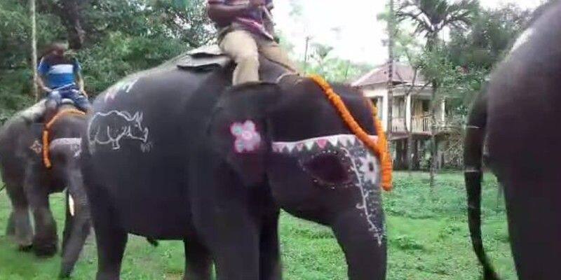 Elephants are worshiped on the day of Biswakarma pujo in Dooars BTG