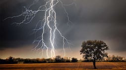 Untimely rains.. 11 people including 3 children died due to lightning in Bengal's Malda RMA
