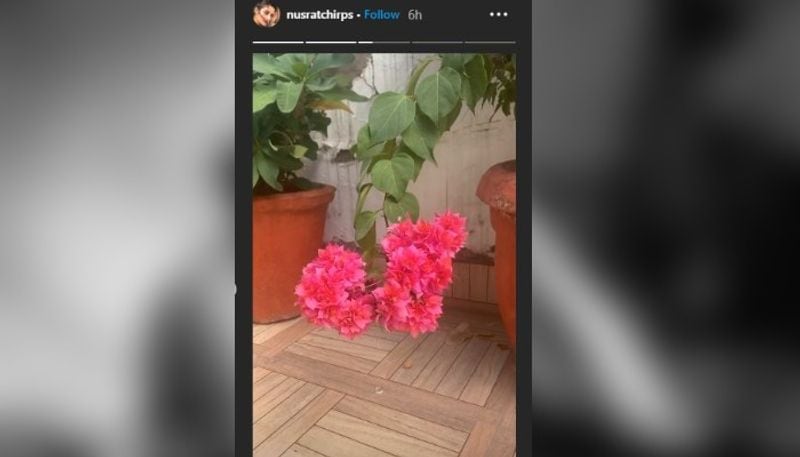 Nusrat Jahan posted picture and videos of her 'special guest' ADB