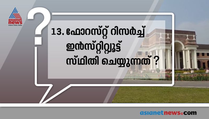 who played the role kasthurba gandhi in gandhi movie
