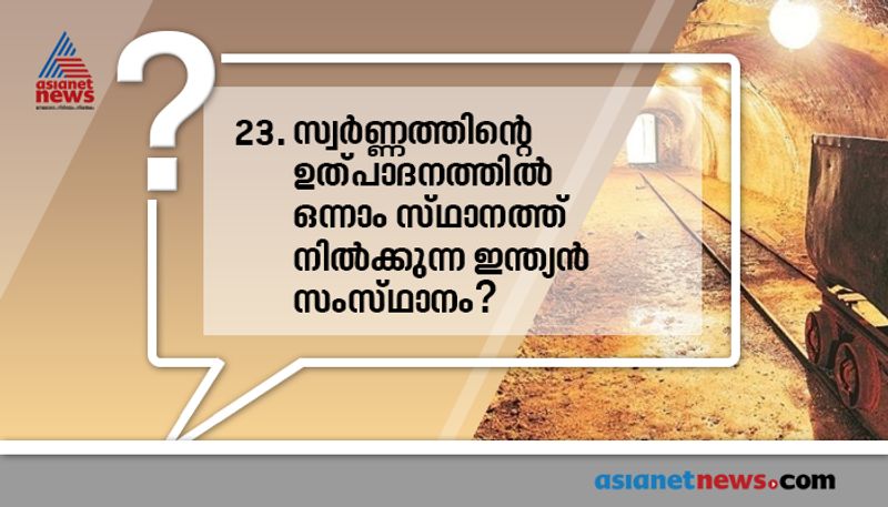 who played the role kasthurba gandhi in gandhi movie