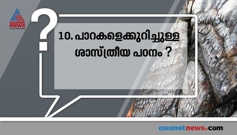 who played the role kasthurba gandhi in gandhi movie