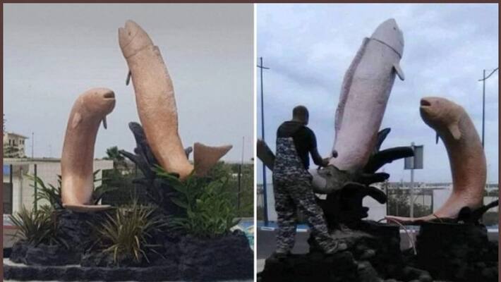 A statue of two fish leaping into the air on a roundabout in Mehdia, Morocco is being demolished. A statue of two fish leaping into the air on a roundabout in Mehdia, Morocco is being demolished.