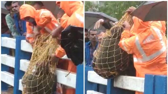old man trapped under bridge in heavy rain rescued by fire force old man trapped under bridge in heavy rain rescued by fire force