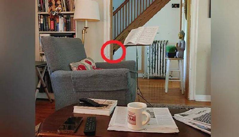 Find the hidden cat in this viral pic