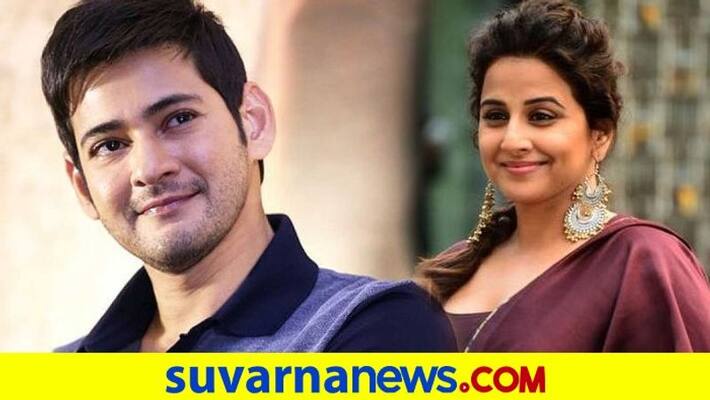 vidya balan to play key role in Mahesh babu sarkaru vaari paata film vcs vidya balan to play key role in Mahesh babu sarkaru vaari paata film vcs