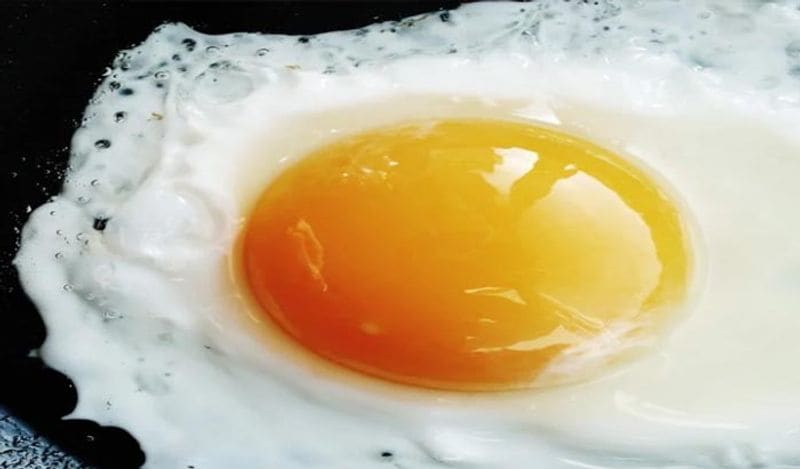 Weight loss: Oil-free egg recipes you can munch on without guilt dpl