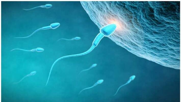 keto diet could help boost sperm count and quality study keto diet could help boost sperm count and quality study