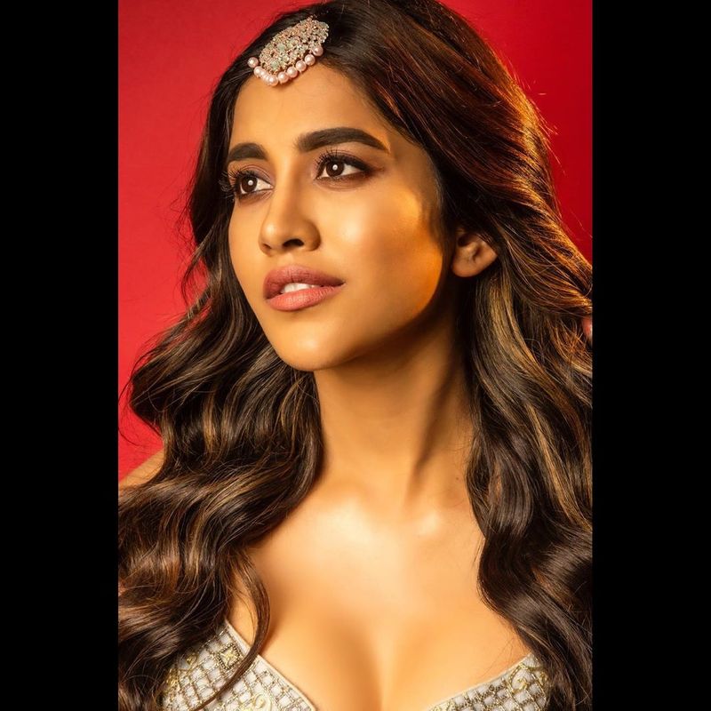 సెక్సీ బ్యూటీ నభా నటేష్ తాజాగా నితిన్తో రొమాన్స్ చేసేందుకు గ్రీన్ సిగ్నల్ ఇచ్చిన విషయం తెలిసిందే.