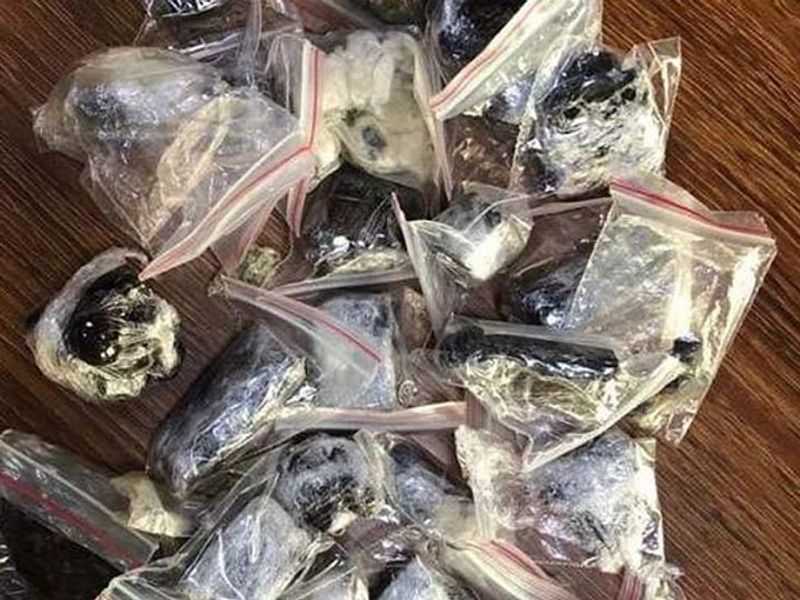 NCB Raids Deepika Padukones Manager Karishma Prakashs Home Finds Charas and Canabis Oil dpl