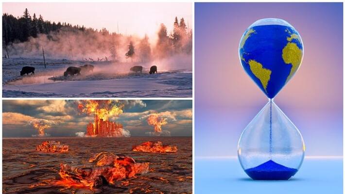 humans are responsible for 96 percentage of mammal extinction humans are responsible for 96 percentage of mammal extinction