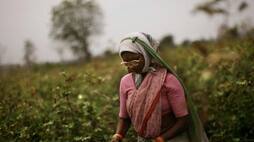 Farmers train is changing fortunes, consumers and farmers happy