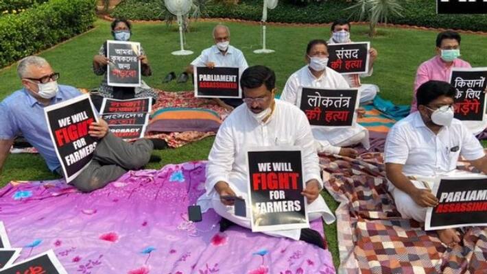 suspended 8 mp of rajya sabha protest parliament premises bsm suspended 8 mp of rajya sabha protest parliament premises bsm