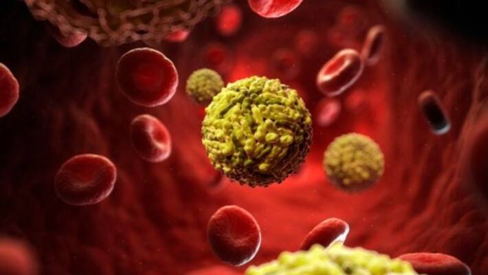 Research finded covid may come second time Research finded covid may come second time