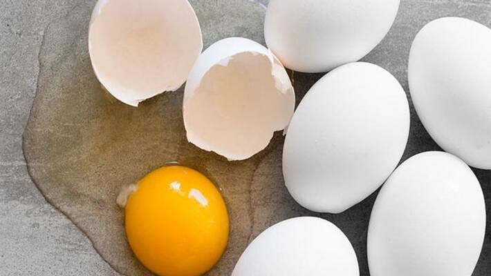 An egg a day may spurt growth in kids An egg a day may spurt growth in kids