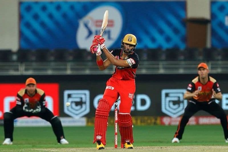 ipl 2020 bcci president sourav ganguly among who praises rcb debutant devdutt padikal