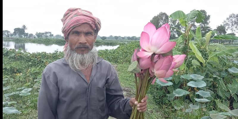 Lotus cultivators are trouble ahead of Durgapuja due Coronvirus BTG