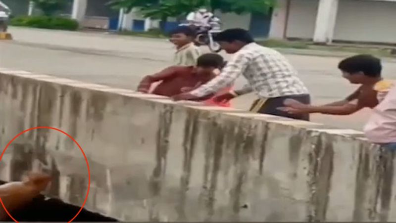 जबलपुर के लमेहटाघाट का यह मामला सोशल मीडिया पर वायरल हुआ है।