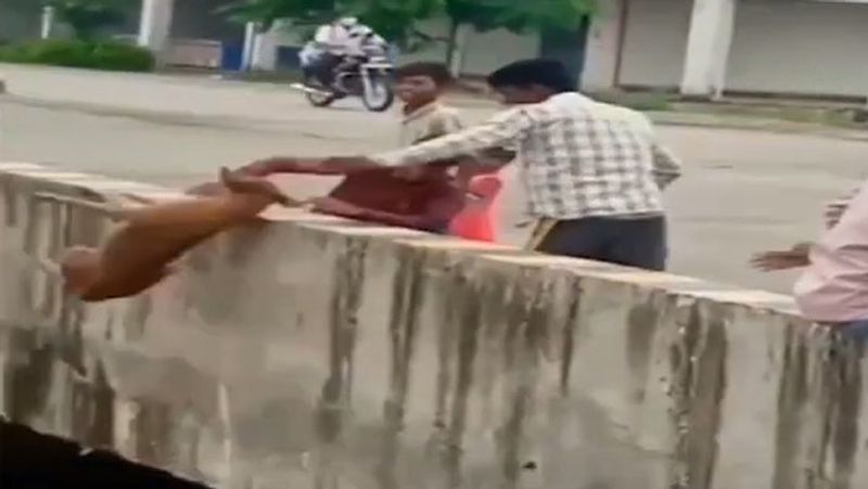 जबलपुर एसपी सिद्धार्थ बहुगुणा ने कहा है कि मामले को संज्ञान में लिया गया है। तीनों लड़कों को ढूंढा जा रहा है।