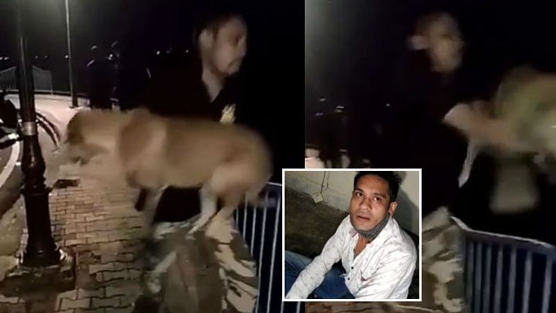 यह मामला भोपाल में 13 सितंबर को सामने आया था। सलमान खान नामक इस फोटोग्राफर ने अपनी मस्ती के लिए डॉग को उठाकर बड़े तालाब में फेंक दिया था। इसका वीडियो वायरल होने के बाद आरोपी को गिरफ्तार कर लिया गया था।