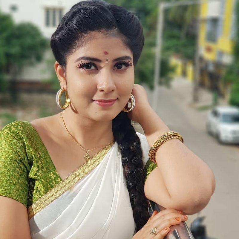 New heroine introduced in Vijay TV Pandian stores Serial
