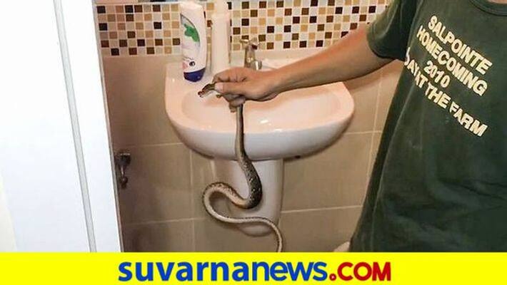 Person Brought Snake to Hospital in Uttara Kannada Districtgrg Person Brought Snake to Hospital in Uttara Kannada Districtgrg
