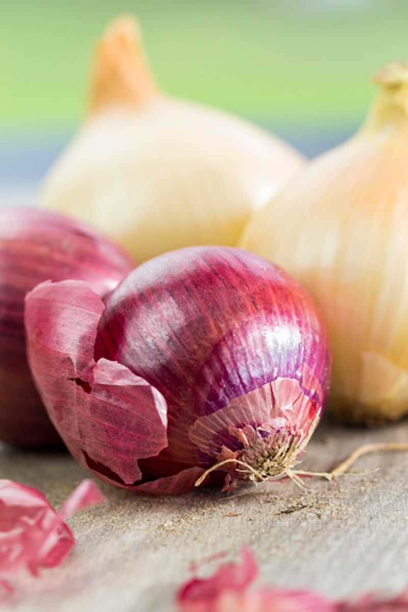 Onion Peel Tea Benefits That will Convince You To Save Those Onion Skins dpl