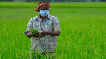 Kerala government set up welfare board for farmers, know how farmers will benefit
