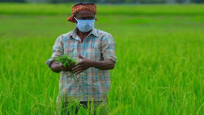 Farmers will get Rs 5000 in addition to PM Samman Nidhi know how to get benefit of the scheme kpl Farmers will get Rs 5000 in addition to PM Samman Nidhi know how to get benefit of the scheme kpl