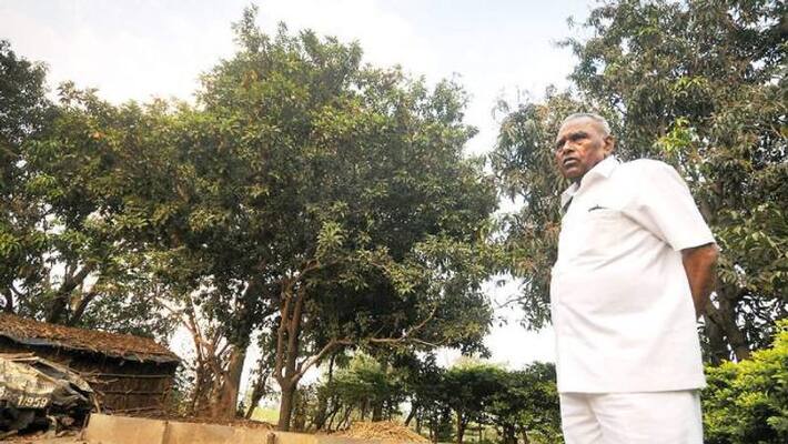 ranmala villagers plants more than one lakh plant ranmala villagers plants more than one lakh plant