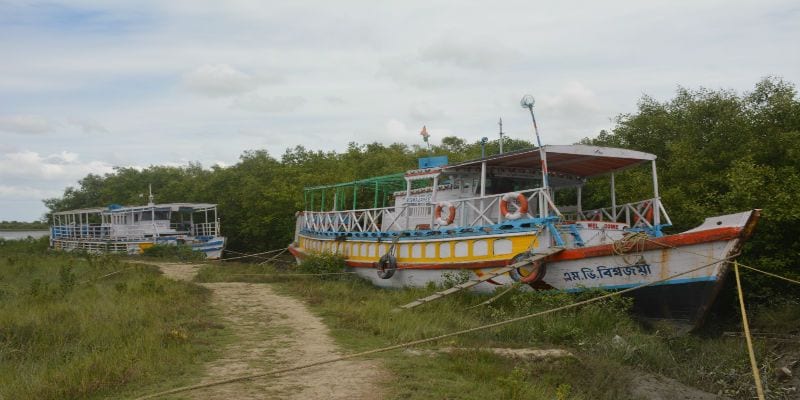 Sundarbans open for tourism in Coronavirus again ASB