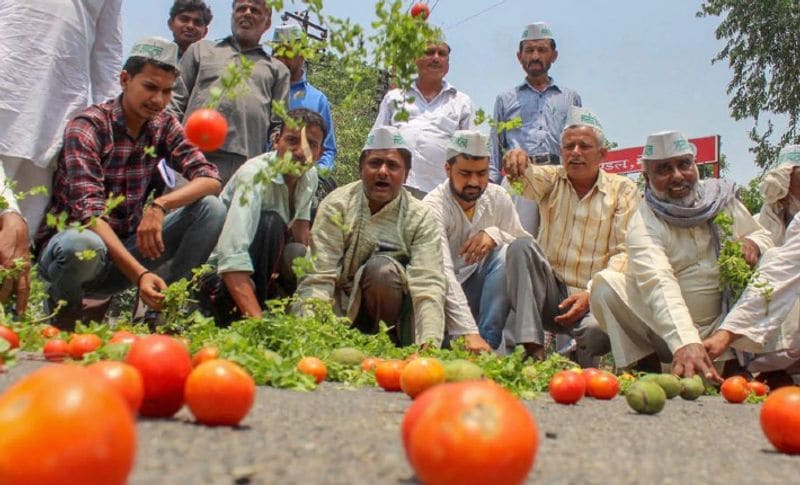 मोदी सरकार के खिलाफ किसानों में इतना गुस्सा है कि वह अपनी ही फसल सड़कों पर फैंक रहे हैं। कोई सब्जी फैंक रहा है तो कोई हाजारों लीटर दूध बहा रहा है।