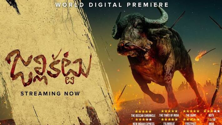 Jallikattu telugu Movie Review Jallikattu telugu Movie Review