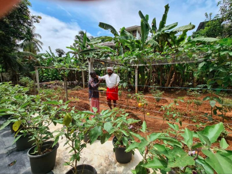 Mohanlal tries his hand at organic farming dpl