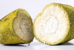You would be surprised to note that jackfruit can play a major role in treating diabetes