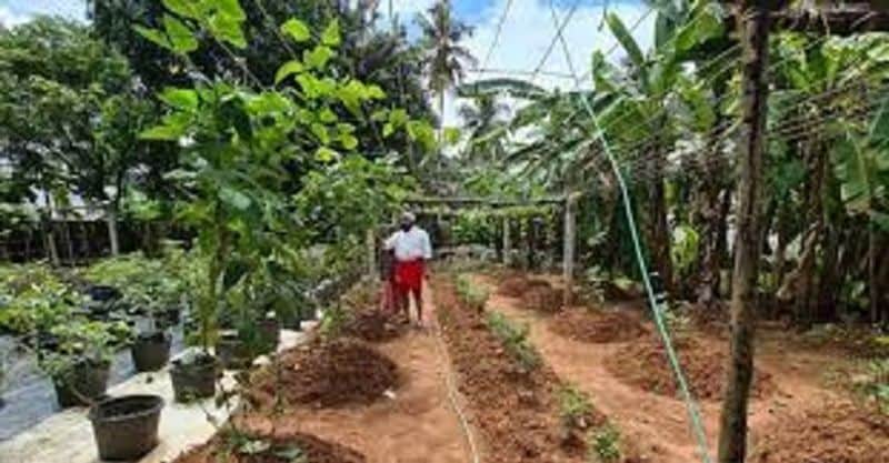 Mohanlal tries his hand at organic farming dpl