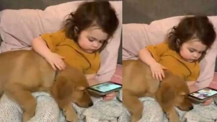 little girl watches video with pet dog viral little girl watches video with pet dog viral