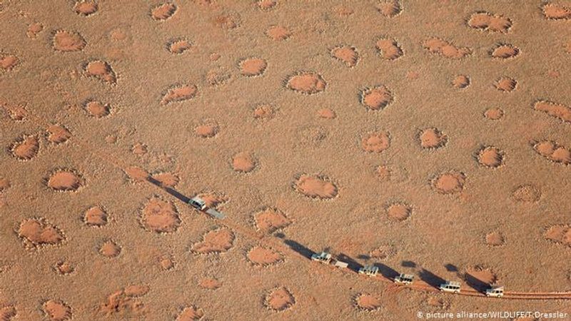 Mystery over fairy circles appearing in African desert finally solved