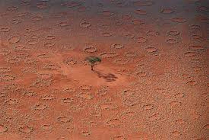 Mystery over fairy circles appearing in African desert finally solved